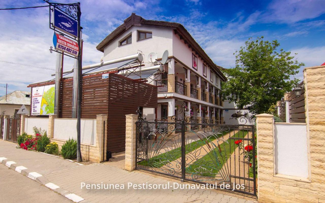 Pensiunea Pestisorul Dunavăţu de Jos Εξωτερικό φωτογραφία
