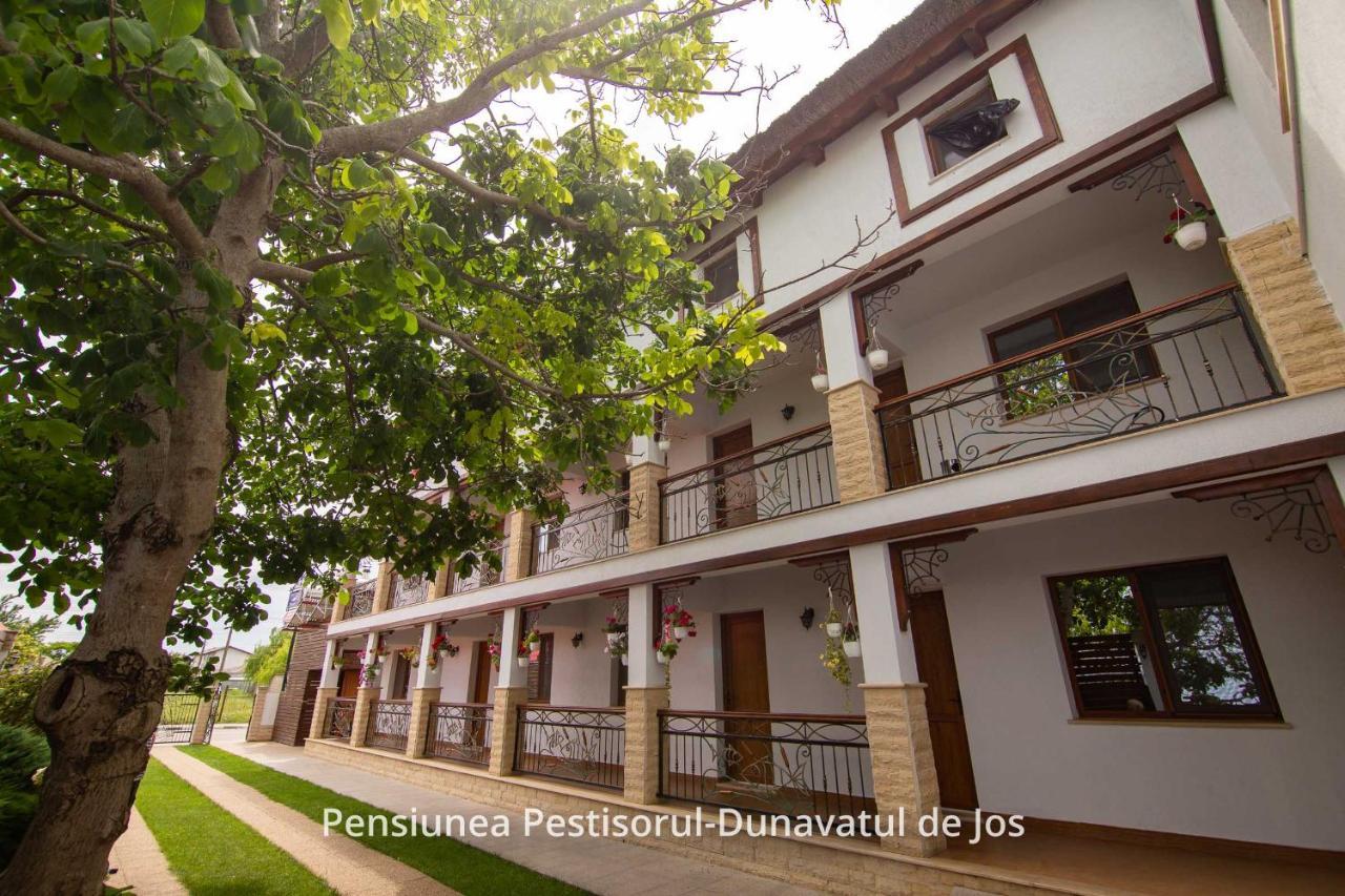 Pensiunea Pestisorul Dunavăţu de Jos Εξωτερικό φωτογραφία
