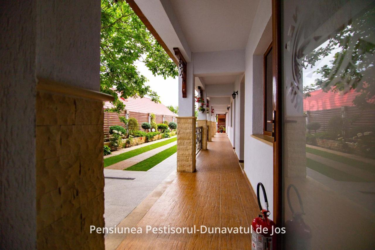 Pensiunea Pestisorul Dunavăţu de Jos Εξωτερικό φωτογραφία